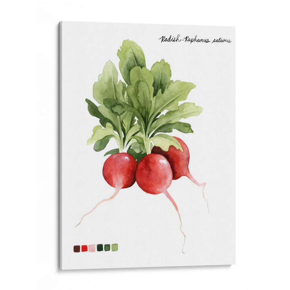 Vegetal Raíz Iv - Grace Popp | Cuadro decorativo de Canvas Lab