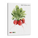 Vegetal Raíz Iv - Grace Popp | Cuadro decorativo de Canvas Lab