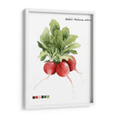 Vegetal Raíz Iv - Grace Popp | Cuadro decorativo de Canvas Lab