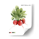 Vegetal Raíz Iv - Grace Popp | Cuadro decorativo de Canvas Lab