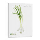 Vegetal Raíz V - Grace Popp | Cuadro decorativo de Canvas Lab