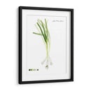 Vegetal Raíz V - Grace Popp | Cuadro decorativo de Canvas Lab