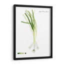 Vegetal Raíz V - Grace Popp | Cuadro decorativo de Canvas Lab