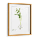 Vegetal Raíz V - Grace Popp | Cuadro decorativo de Canvas Lab