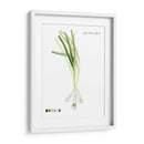 Vegetal Raíz V - Grace Popp | Cuadro decorativo de Canvas Lab