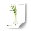Vegetal Raíz V - Grace Popp | Cuadro decorativo de Canvas Lab