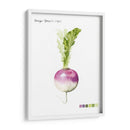 Vegetal Raíz Vi - Grace Popp | Cuadro decorativo de Canvas Lab