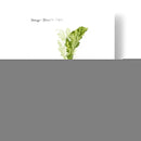 Vegetal Raíz Vi - Grace Popp | Cuadro decorativo de Canvas Lab
