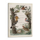 Santuario De Carpintero - Nozeman | Cuadro decorativo de Canvas Lab