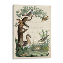 Santuario De Pato - Nozeman | Cuadro decorativo de Canvas Lab