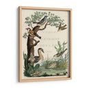 Santuario De Pato - Nozeman | Cuadro decorativo de Canvas Lab