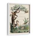 Santuario De Pato - Nozeman | Cuadro decorativo de Canvas Lab