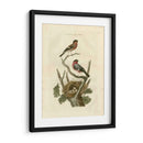 Pájaros Nozeman Y Nidos I - Nozeman | Cuadro decorativo de Canvas Lab
