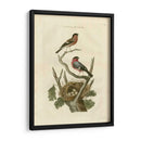 Pájaros Nozeman Y Nidos I - Nozeman | Cuadro decorativo de Canvas Lab