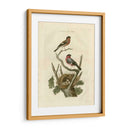 Pájaros Nozeman Y Nidos I - Nozeman | Cuadro decorativo de Canvas Lab