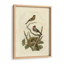 Pájaros Nozeman Y Nidos I - Nozeman | Cuadro decorativo de Canvas Lab