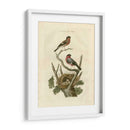 Pájaros Nozeman Y Nidos I - Nozeman | Cuadro decorativo de Canvas Lab