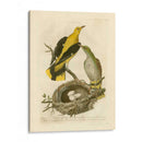 Pájaros Nozeman Y Nidos Ii - Nozeman | Cuadro decorativo de Canvas Lab