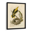 Pájaros Nozeman Y Nidos Ii - Nozeman | Cuadro decorativo de Canvas Lab