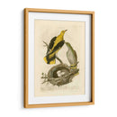 Pájaros Nozeman Y Nidos Ii - Nozeman | Cuadro decorativo de Canvas Lab