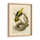 Pájaros Nozeman Y Nidos Ii - Nozeman | Cuadro decorativo de Canvas Lab