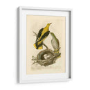 Pájaros Nozeman Y Nidos Ii - Nozeman | Cuadro decorativo de Canvas Lab