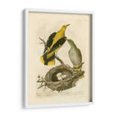 Pájaros Nozeman Y Nidos Ii - Nozeman | Cuadro decorativo de Canvas Lab