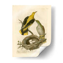 Pájaros Nozeman Y Nidos Ii - Nozeman | Cuadro decorativo de Canvas Lab