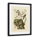 Pájaros Nozeman Y Nidos Iii - Nozeman | Cuadro decorativo de Canvas Lab