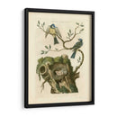 Pájaros Nozeman Y Nidos Iii - Nozeman | Cuadro decorativo de Canvas Lab