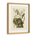 Pájaros Nozeman Y Nidos Iii - Nozeman | Cuadro decorativo de Canvas Lab