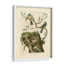 Pájaros Nozeman Y Nidos Iii - Nozeman | Cuadro decorativo de Canvas Lab
