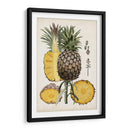 Estudio Botánico De Piña Ii - Naomi McCavitt | Cuadro decorativo de Canvas Lab