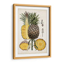 Estudio Botánico De Piña Ii - Naomi McCavitt | Cuadro decorativo de Canvas Lab