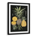 Piña Gráfica Estudio Botánico I - Naomi McCavitt | Cuadro decorativo de Canvas Lab