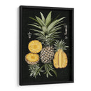 Piña Gráfica Estudio Botánico I - Naomi McCavitt | Cuadro decorativo de Canvas Lab