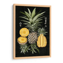 Piña Gráfica Estudio Botánico I - Naomi McCavitt | Cuadro decorativo de Canvas Lab