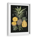 Piña Gráfica Estudio Botánico I - Naomi McCavitt | Cuadro decorativo de Canvas Lab