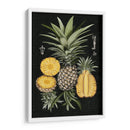 Piña Gráfica Estudio Botánico I - Naomi McCavitt | Cuadro decorativo de Canvas Lab