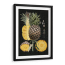 Piña Gráfica Estudio Botánico Ii - Naomi McCavitt | Cuadro decorativo de Canvas Lab