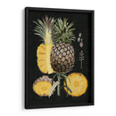 Piña Gráfica Estudio Botánico Ii - Naomi McCavitt | Cuadro decorativo de Canvas Lab