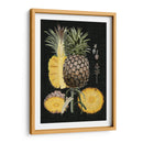 Piña Gráfica Estudio Botánico Ii - Naomi McCavitt | Cuadro decorativo de Canvas Lab