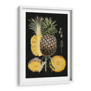 Piña Gráfica Estudio Botánico Ii - Naomi McCavitt | Cuadro decorativo de Canvas Lab