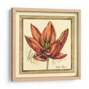 Estudio De Tulipán Ii - Jennifer Goldberger | Cuadro decorativo de Canvas Lab