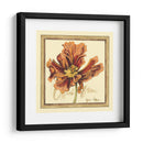 Estudio De Tulipán Iii - Jennifer Goldberger | Cuadro decorativo de Canvas Lab