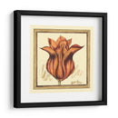Estudio De Tulipán Vi - Jennifer Goldberger | Cuadro decorativo de Canvas Lab
