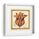 Estudio De Tulipán Vi - Jennifer Goldberger | Cuadro decorativo de Canvas Lab