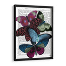 Grandes Mariposas Audaces 1 - Fab Funky | Cuadro decorativo de Canvas Lab