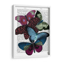 Grandes Mariposas Audaces 1 - Fab Funky | Cuadro decorativo de Canvas Lab