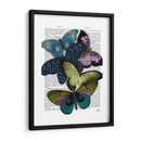 Grandes Mariposas Negras 2 - Fab Funky | Cuadro decorativo de Canvas Lab